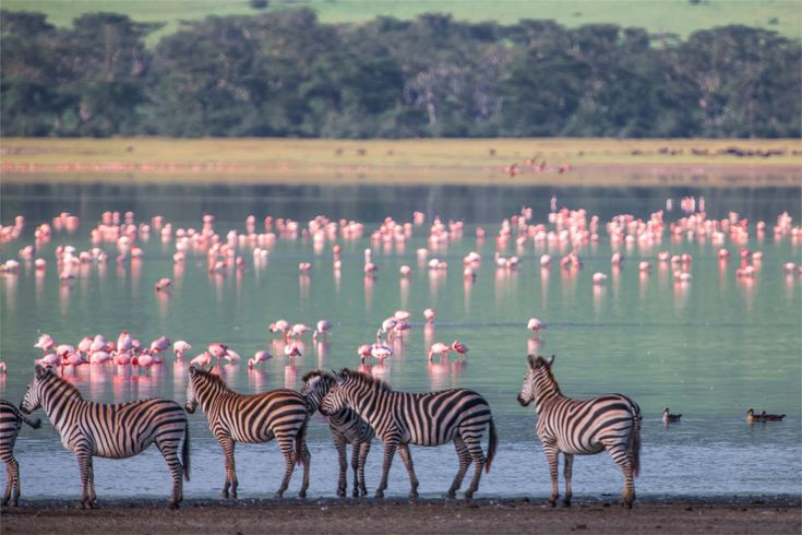 Lake Nakuru National Park